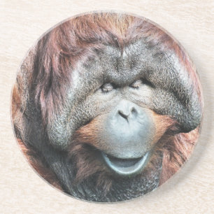 ORANGUTANS UNDERLÄGG SANDSTEN