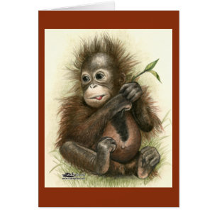 Orangutansbaby med blad OBS kort