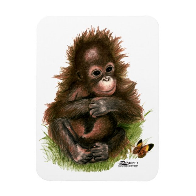 Orangutansbaby och fjäril magnet (Vertikal)