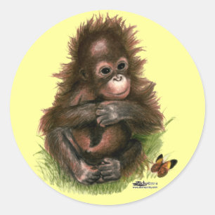 Orangutansbaby och fjäril runt klistermärke