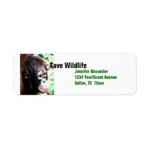 Orangutansparadjurliv Returadress Etikett