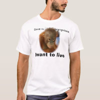 Orangutansparahotade arter