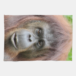 OrangutanTeahandduk Kökshandduk