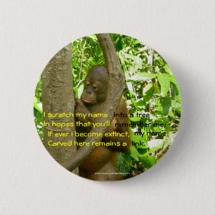 OrangutanTribute Knapp
