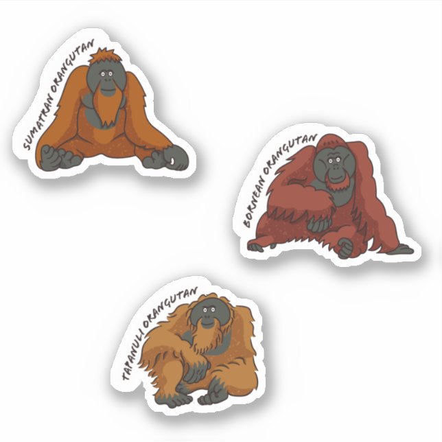 "Orangutarter" Klistermärken (Framsida)