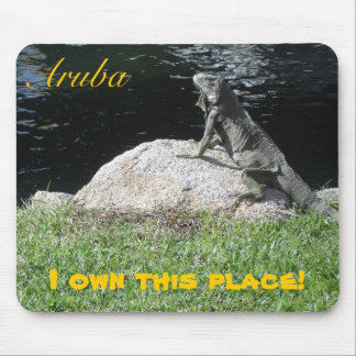 Oranjestad Aruba Musmatta