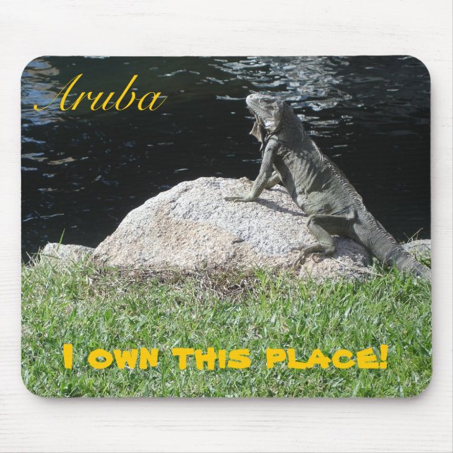 Oranjestad Aruba Musmatta (Framsidan)
