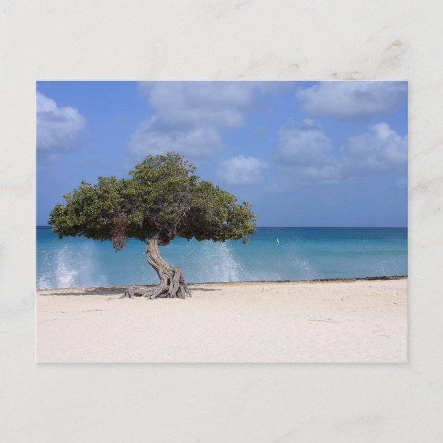 oranjestad vykort (Framsida)