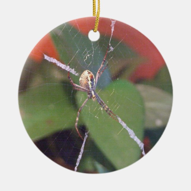 Orb Spider Ornament (Framsidan)