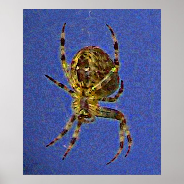 Orb Spider Poster (Framsidan)