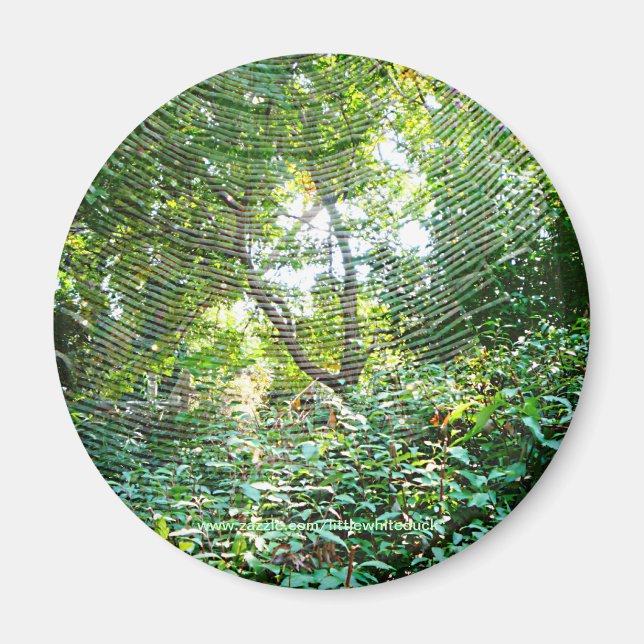 Orb-Spindelnät - Magnet (Framsidan)