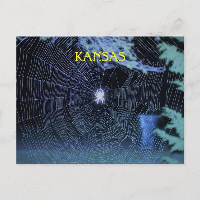 Orb Weaver på natten Vykort (Framsida)