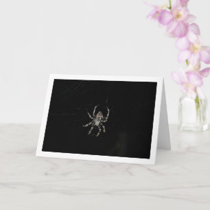 Orb-weaver Spider Kort