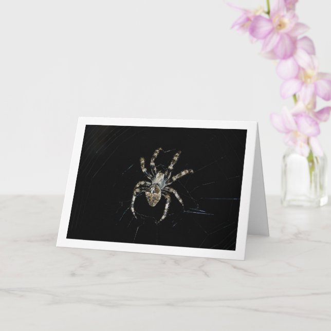 Orb-weaver Spider Kort (Orkide)