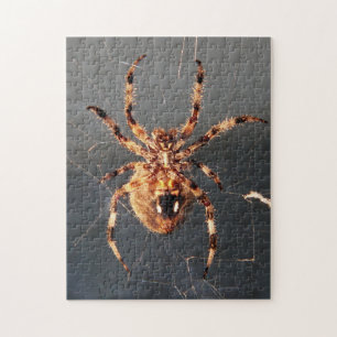 Orb Weaver Spider Pussel