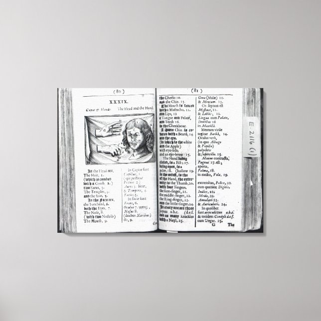 Orbis Sensualium Pictus Canvastryck (Framsida)