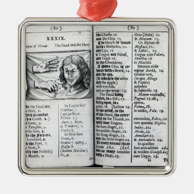 'Orbis Sensualium Pictus Julgransprydnad Metall (Framsidan)