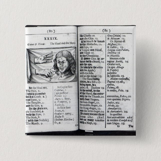 'Orbis Sensualium Pictus Knapp (Framsida)