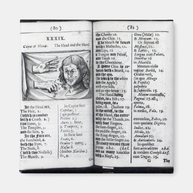 Orbis Sensualium Pictus Magnet (Framsidan)