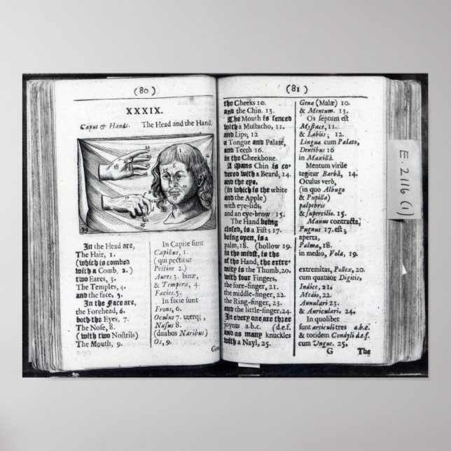 Orbis Sensualium Pictus Poster (Framsidan)