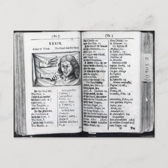 Orbis Sensualium Pictus Vykort (Framsida)