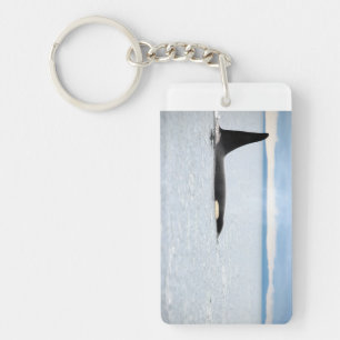 Orca