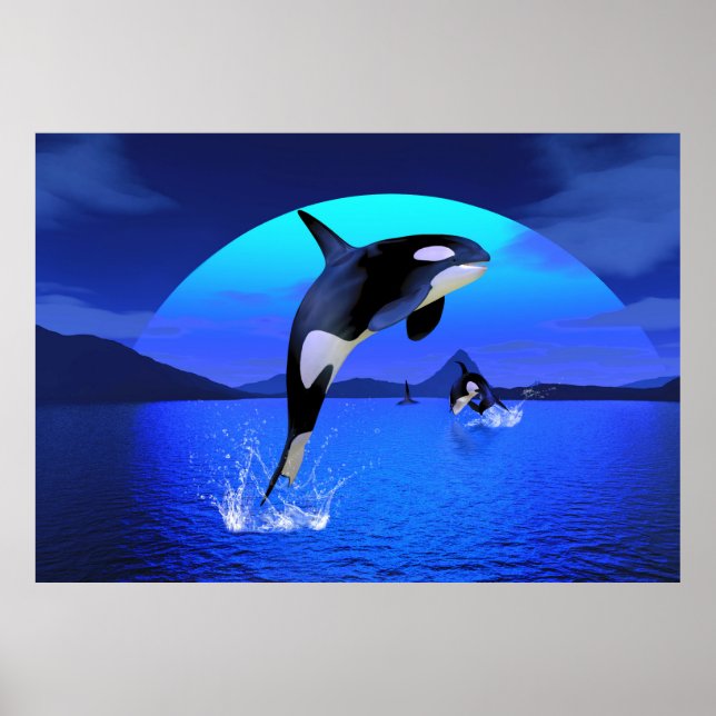 Orca 1 poster (Framsidan)