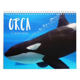 Orca 2023-kalender, lustiga och söta orcas kalender