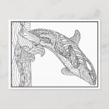 Orca Black and White-vykort
