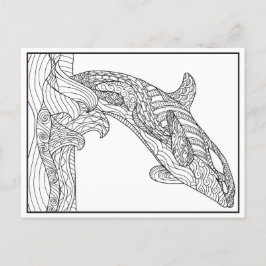Orca Black and White-vykort Vykort