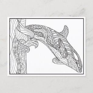Orca Black and White-vykort Vykort