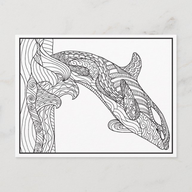 Orca Black and White-vykort Vykort (Framsida)