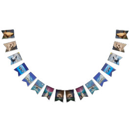 Orca Bunting Banner Vimplar