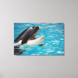 Orca canvas