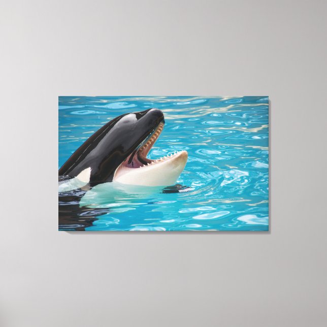 Orca canvas (Framsida)