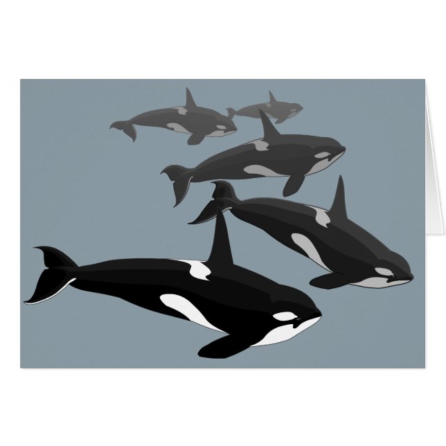 Orca Cards Personlig Killer Whale Art Cards Hälsningskort (Framsidan Horizontal)