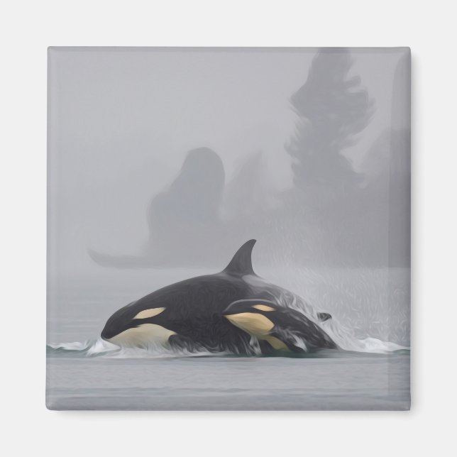 Orca Family Magnet (Framsidan)