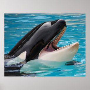 Orca, guldval poster
