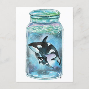 Orca i burken helg vykort
