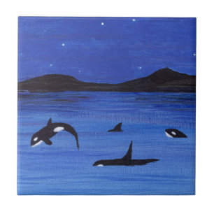 Orca Kakelplatta