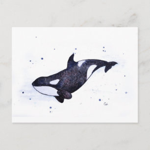 Orca Killer Valale illustration Vykort