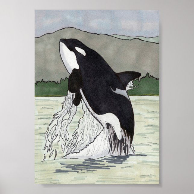 Orca / Killer Whale 5x7 Poster (Framsidan)