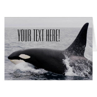 Orca Killer Whale Breaching Yta Anpassningsbar Tex Hälsningskort