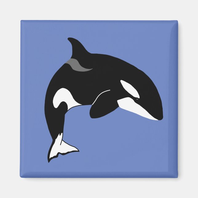 Orca Killer Whale Magnet (Framsidan)