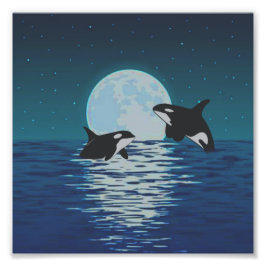 Orca Killer Whale Moonlight Fototryck