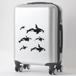 Orca Killer Whale Set Klistermärken