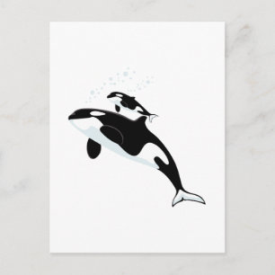 Orca Killer Whale Vykort