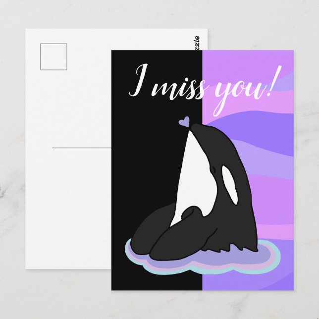 Orca Killer Whale Vykort (Fram/baksida)