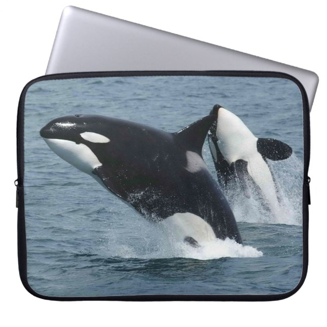 Orca Killer Whales Laptop Sleeve (Framsidan)