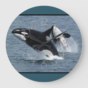 Orca Killer Whales Stor Klocka